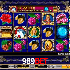 989bet Rio de Janeiro - Bonus Terms